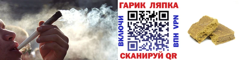 Купить где  Новосокольники  ГАШ гарик 