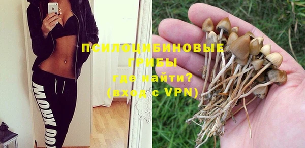 молекула духа Баксан