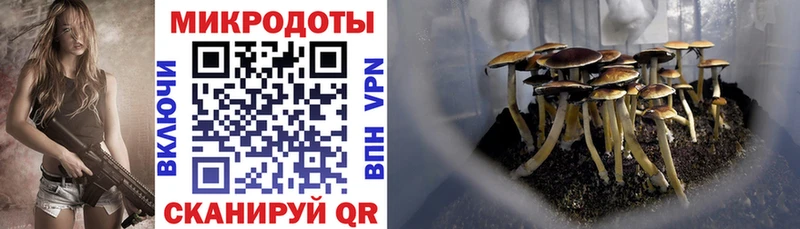 Купить  Новосокольники  Псилоцибиновые грибы мухоморы 